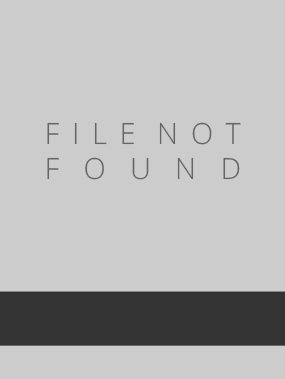 Image of Mehrunnisa, The Twentieth Wife