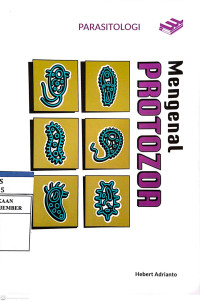 Image of Mengenal Protozoa